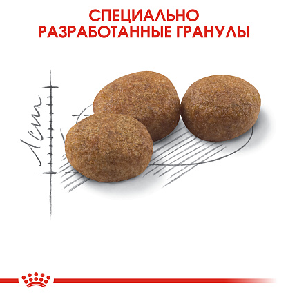 Royal Canin для кошек STERILISED 37 (Стерилайзд 37)